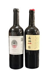 Diddone 2023 & Bucante 2024