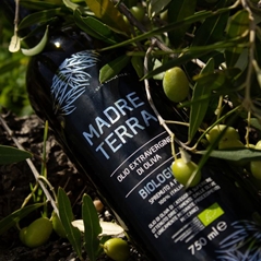 Nuovo Oleificio San Pasquale MADRE TERRA Olio extravergine d´oliva BIOLOGICO 50 cl in Cofanetto in Legno...
