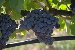 giro-del-mandrolisai