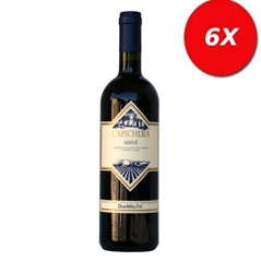 6 BOTTIGLIE di Assajè - Isola dei Nuraghi IGT