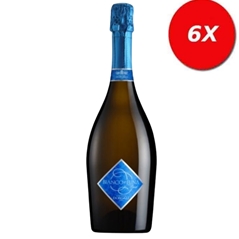 6 BOTTIGLE di BIANCO E LUNA - SPUMANTE BRUT