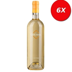 6 BOTTIGLIE di LINTORI - Vermentino di Sardegna DOC