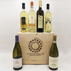 SARDEGNA AFFASCINANTE - CONFEZIONE TOP LEGNO