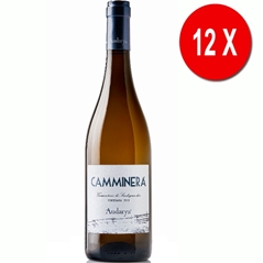 12 BOTTIGLIE di  CAMMINERA - Vermentino di Sardegna DOC